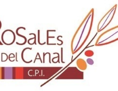 Equipo Directivo y Plantilla del Centro